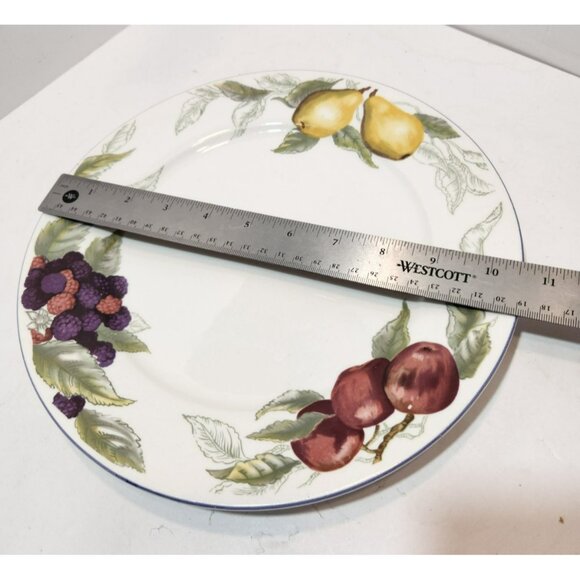 Todays Home Stoneware Fruit Dinner Plates 10.5" Set of 4 Red Green Yellow Purple - Picture 8 of 8